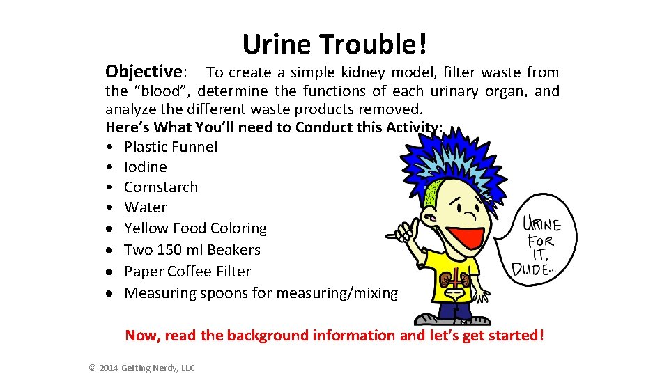 Urine Trouble! Objective: To create a simple kidney model, filter waste from the “blood”,