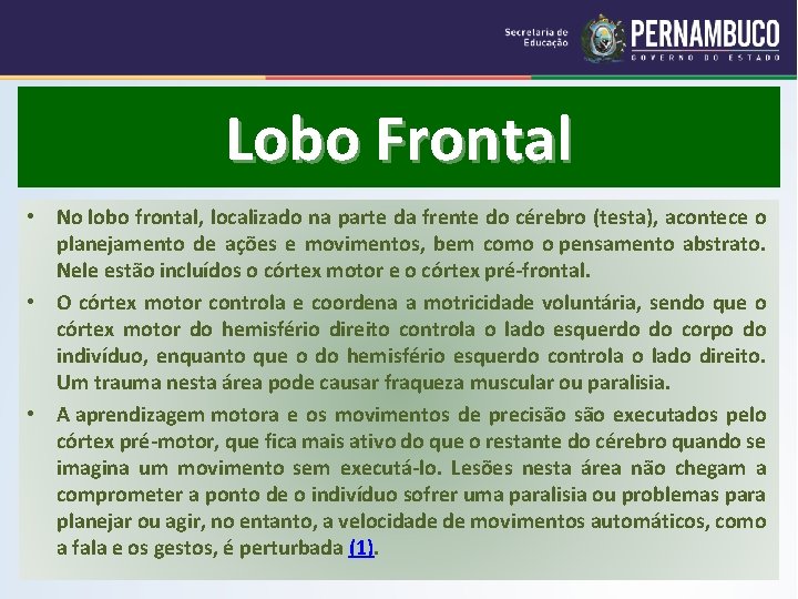 Lobo Frontal • No lobo frontal, localizado na parte da frente do cérebro (testa),