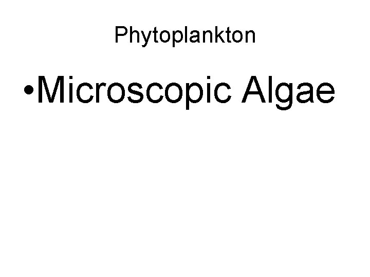 Phytoplankton • Microscopic Algae 