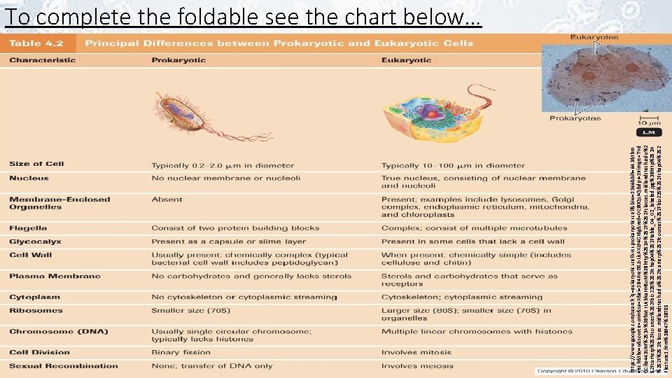 https: //www. google. com/search? q=eukaryotic+cell+vs+prokaryotic+cell&biw=1366&bih=643&tbm =isch&tbo=u&source=univ&sa=X&ei=1 B 4 r. Ve. D 8 Jo. Lis.