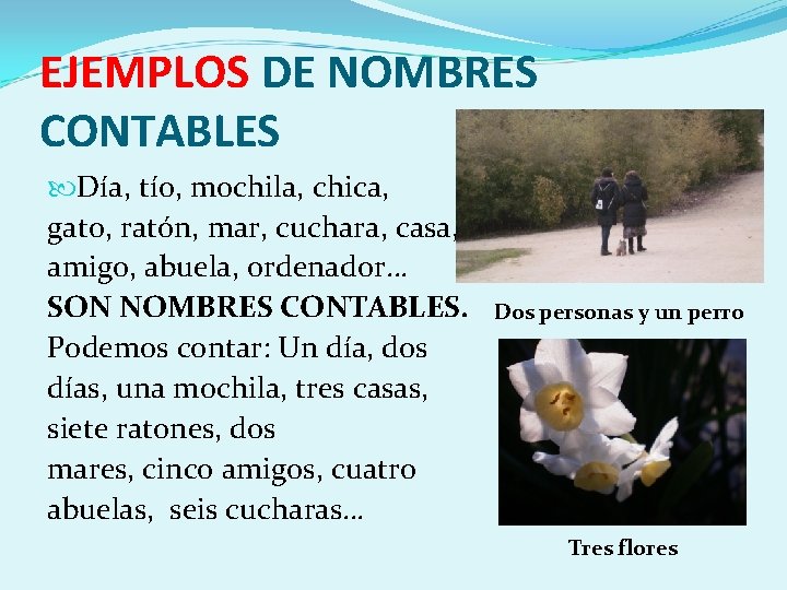 EJEMPLOS DE NOMBRES CONTABLES Día, tío, mochila, chica, gato, ratón, mar, cuchara, casa, amigo,