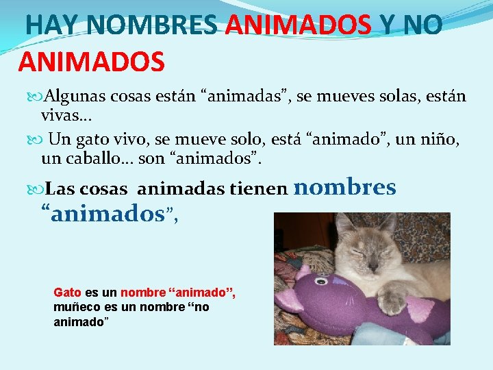 HAY NOMBRES ANIMADOS Y NO ANIMADOS Algunas cosas están “animadas”, se mueves solas, están