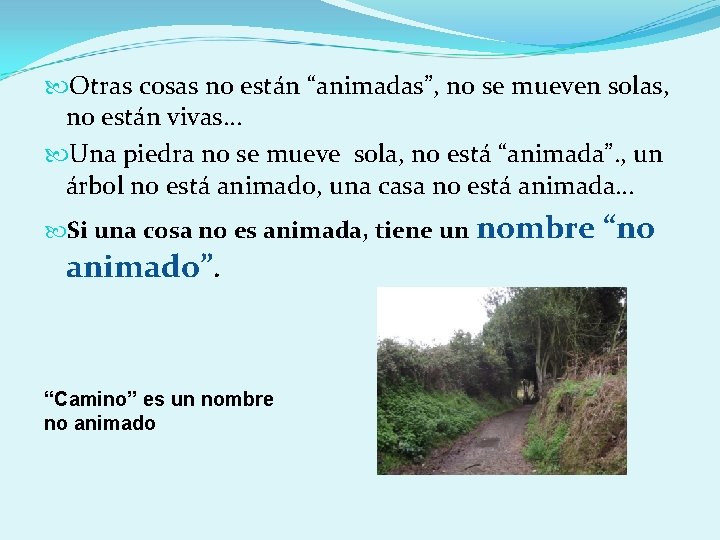  Otras cosas no están “animadas”, no se mueven solas, no están vivas… Una