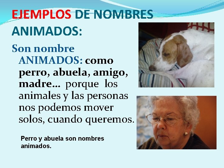 EJEMPLOS DE NOMBRES ANIMADOS: Son nombre ANIMADOS: como perro, abuela, amigo, madre… porque los