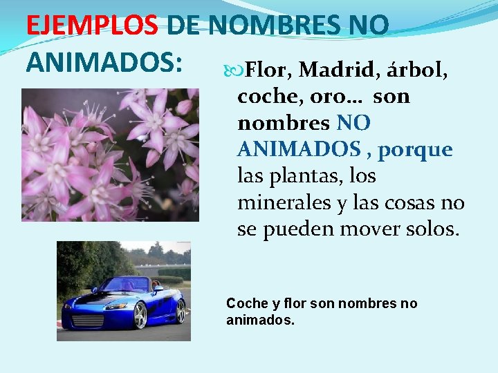 EJEMPLOS DE NOMBRES NO ANIMADOS: Flor, Madrid, árbol, coche, oro… son nombres NO ANIMADOS