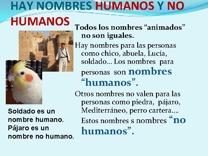 HAY NOMBRES HUMANOS Y NO HUMANOS Todos los nombres “animados” no son iguales. Hay