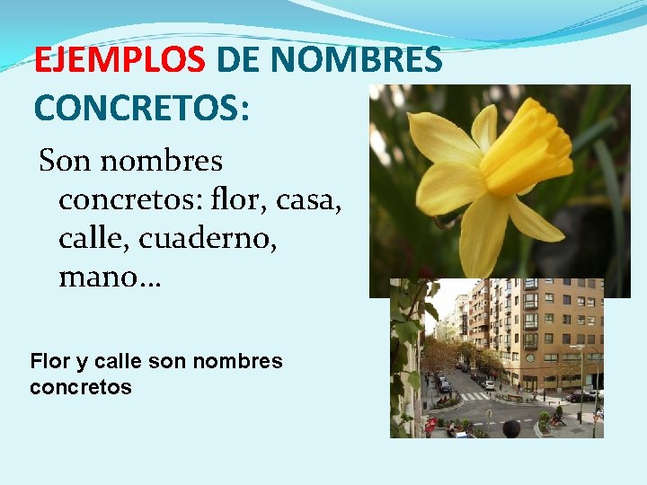 EJEMPLOS DE NOMBRES CONCRETOS: Son nombres concretos: flor, casa, calle, cuaderno, mano… Flor y