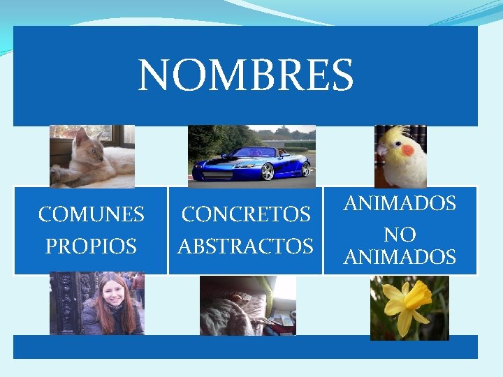 NOMBRES COMUNES PROPIOS CONCRETOS ABSTRACTOS ANIMADOS NO ANIMADOS 