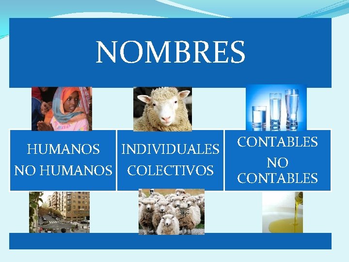 NOMBRES HUMANOS INDIVIDUALES NO HUMANOS COLECTIVOS CONTABLES NO CONTABLES 