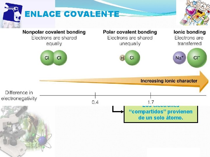 ENLACE COVALENTE Enlace Covalente Apolar Δ E. N. ≈ 0 Polar Δ E. N.