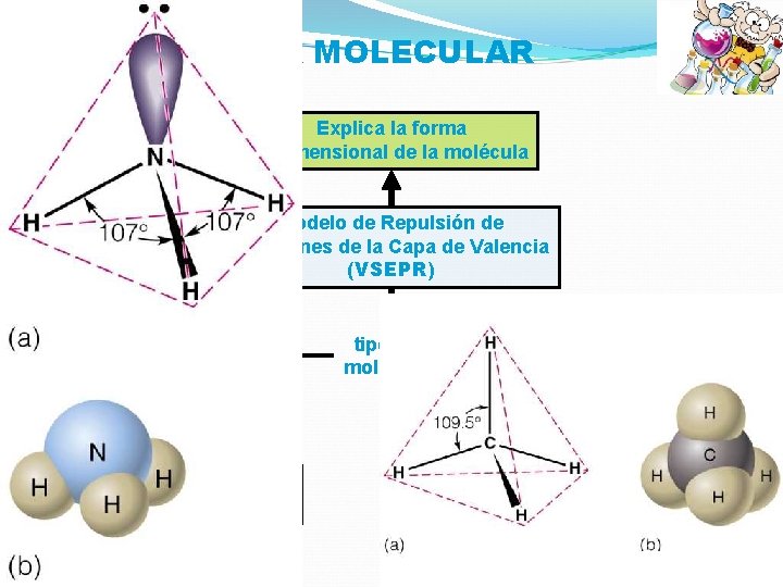 GEOMETRÍA MOLECULAR Explica la forma tridimensional de la molécula Modelo de Repulsión de Electrones