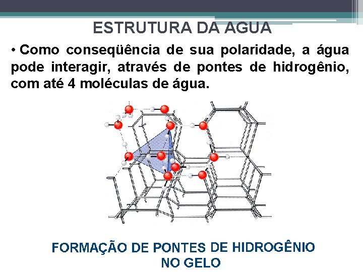 ESTRUTURA DA AGUA • Como conseqüência de sua polaridade, a água pode interagir, através