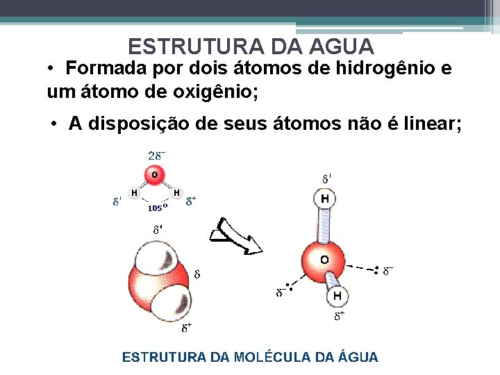 ESTRUTURA DA AGUA • Formada por dois átomos de hidrogênio e um átomo de