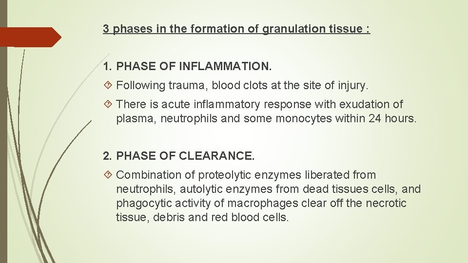 3 phases in the formation of granulation tissue : 1. PHASE OF INFLAMMATION. Following