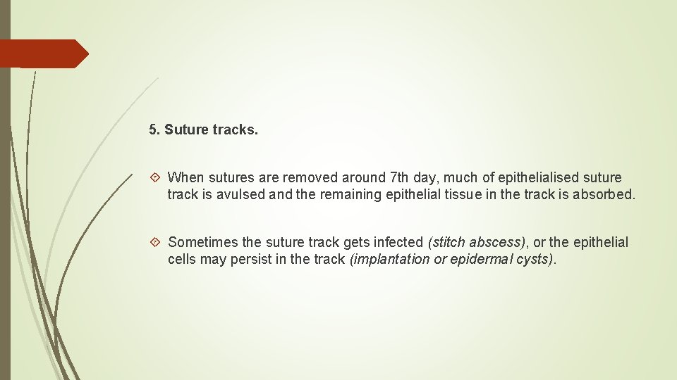 5. Suture tracks. When sutures are removed around 7 th day, much of epithelialised