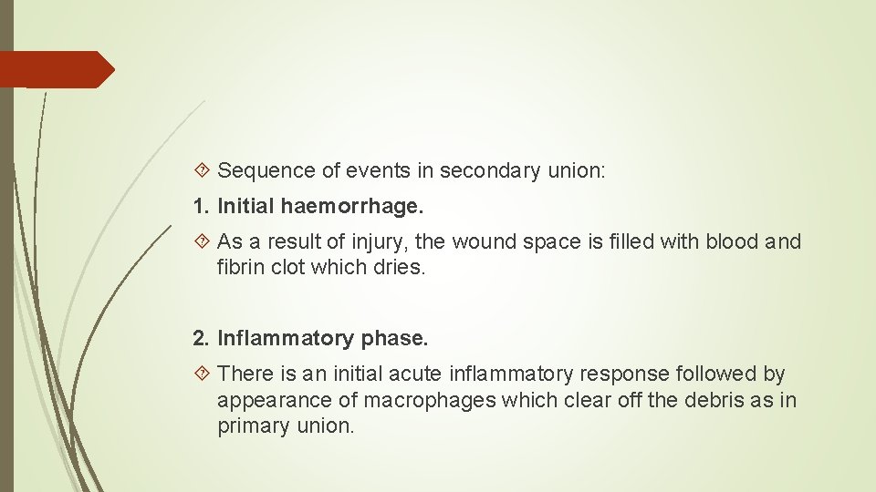  Sequence of events in secondary union: 1. Initial haemorrhage. As a result of