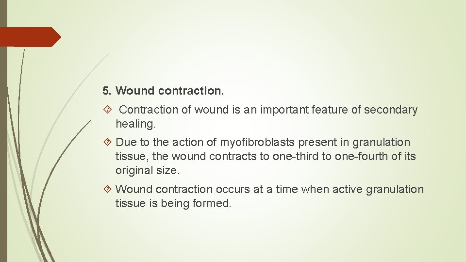5. Wound contraction. Contraction of wound is an important feature of secondary healing. Due