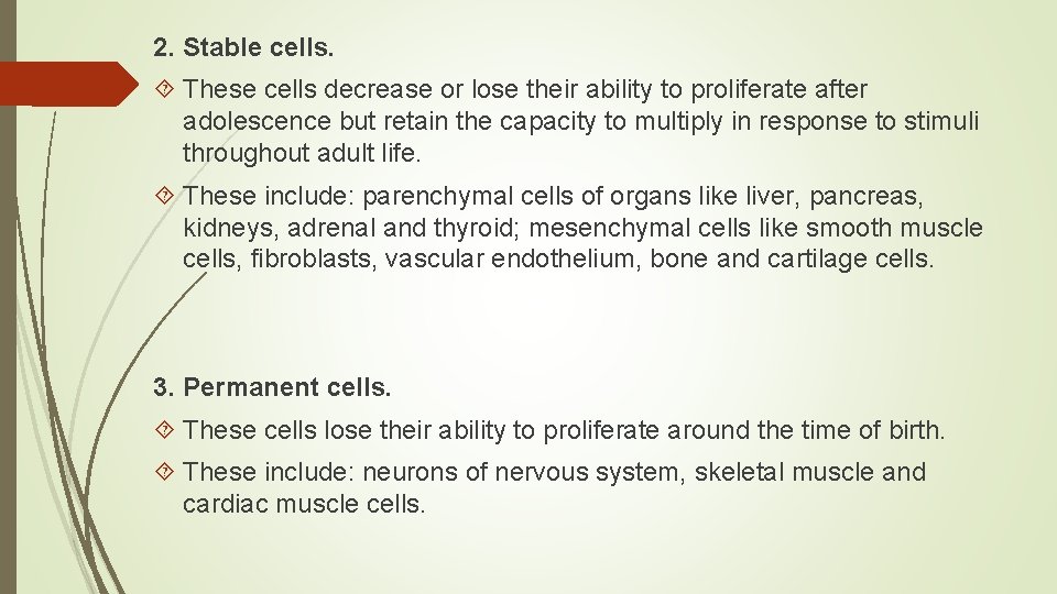 2. Stable cells. These cells decrease or lose their ability to proliferate after adolescence