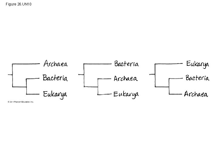 Figure 26. UN 10 