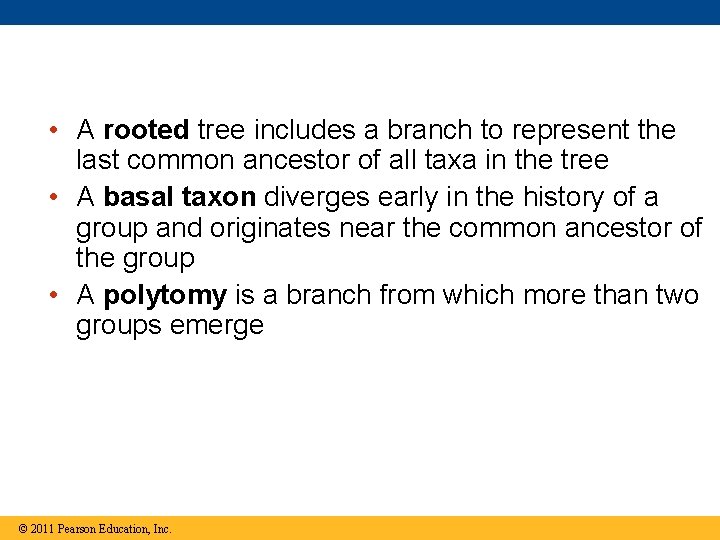  • A rooted tree includes a branch to represent the last common ancestor