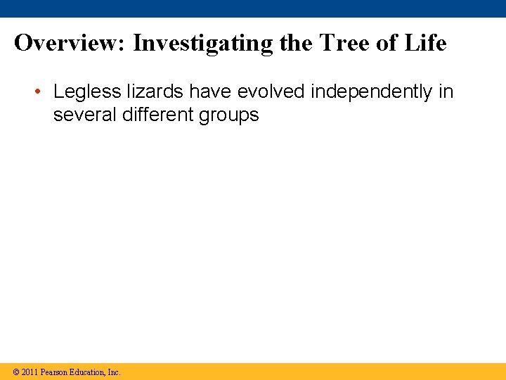 Overview: Investigating the Tree of Life • Legless lizards have evolved independently in several