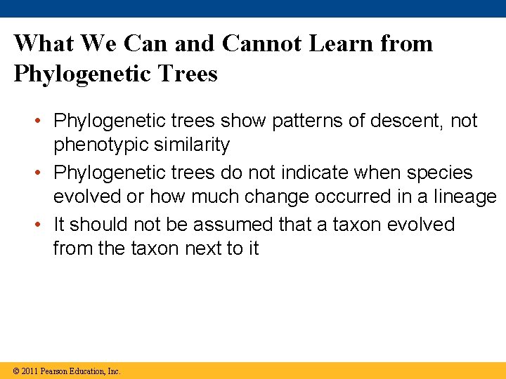 What We Can and Cannot Learn from Phylogenetic Trees • Phylogenetic trees show patterns