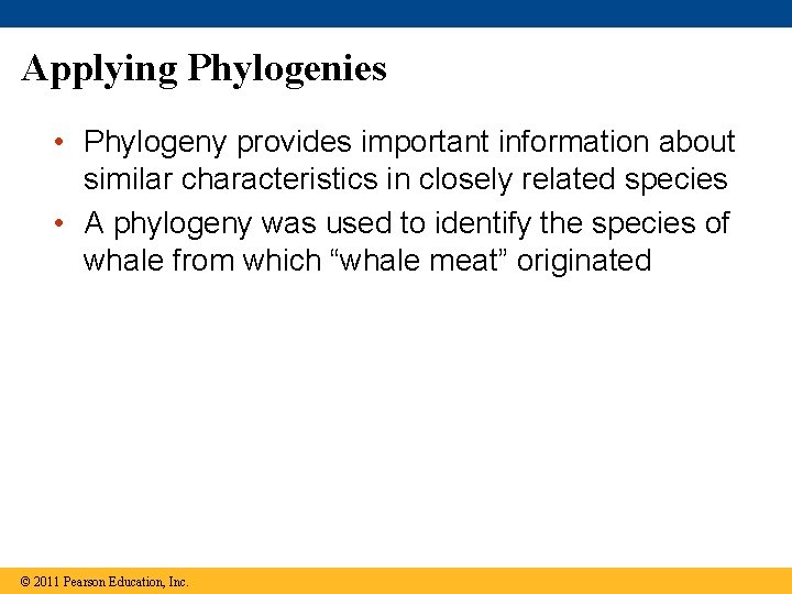 Applying Phylogenies • Phylogeny provides important information about similar characteristics in closely related species