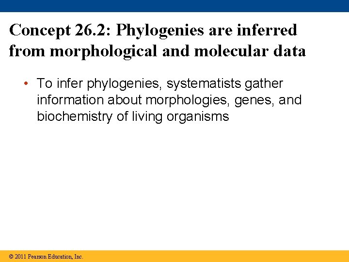 Concept 26. 2: Phylogenies are inferred from morphological and molecular data • To infer