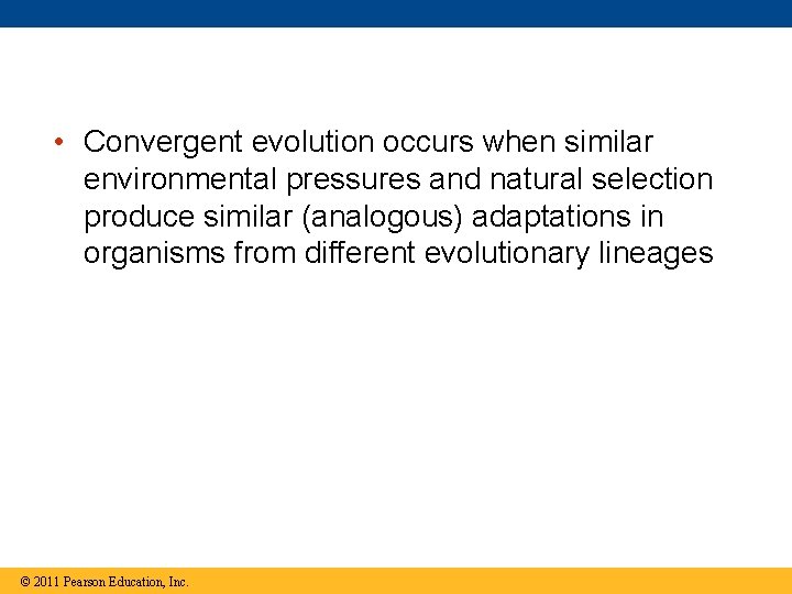  • Convergent evolution occurs when similar environmental pressures and natural selection produce similar