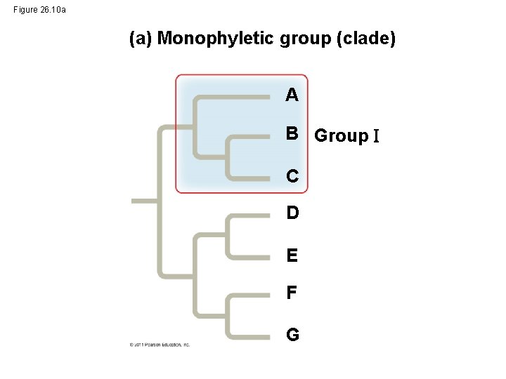 Figure 26. 10 a (a) Monophyletic group (clade) A B Group C D E