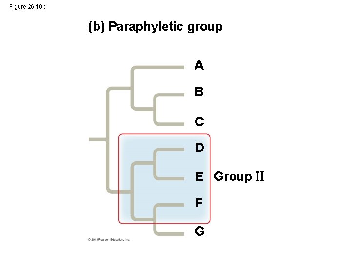 Figure 26. 10 b (b) Paraphyletic group A B C D E Group F