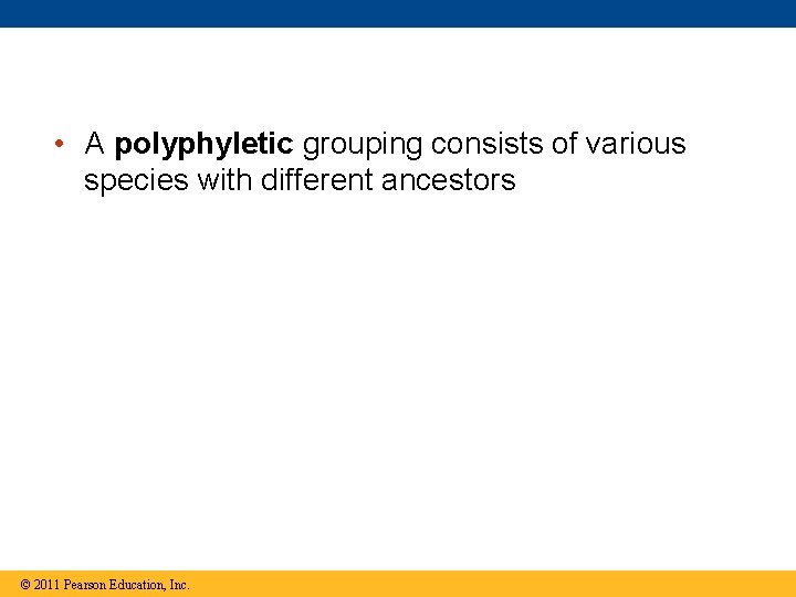  • A polyphyletic grouping consists of various species with different ancestors © 2011
