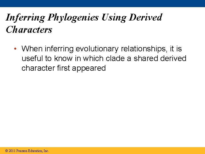 Inferring Phylogenies Using Derived Characters • When inferring evolutionary relationships, it is useful to