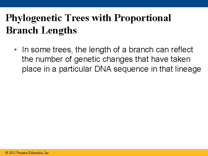 Phylogenetic Trees with Proportional Branch Lengths • In some trees, the length of a
