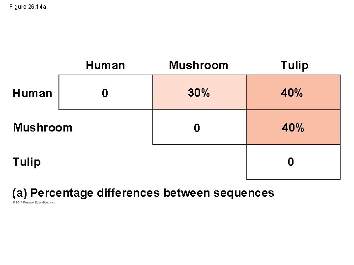 Figure 26. 14 a Human Mushroom Tulip 0 30% 40% 0 40% Tulip (a)