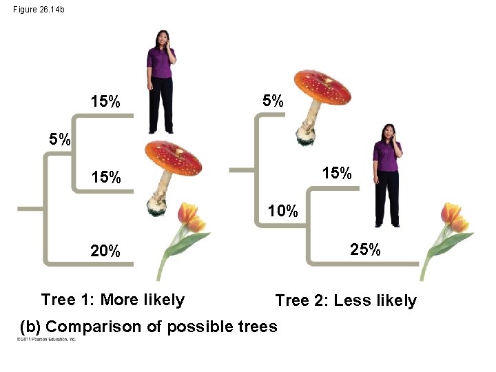 Figure 26. 14 b 15% 5% 5% 15% 10% 25% 20% Tree 1: More