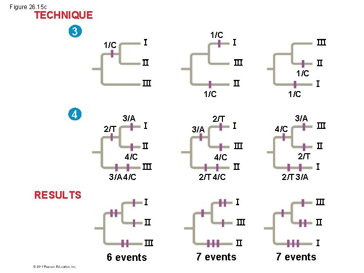 Figure 26. 15 c TECHNIQUE 3 1/C 1/C 4 3/A 2/T 3/A RESULTS 1/C
