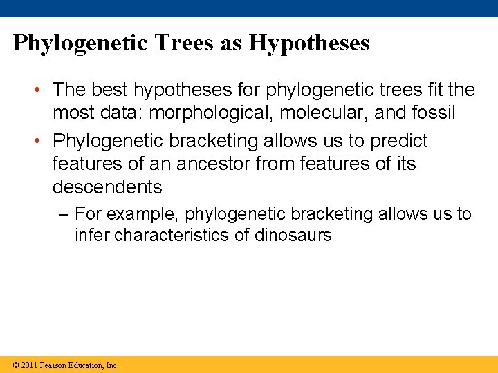 Phylogenetic Trees as Hypotheses • The best hypotheses for phylogenetic trees fit the most