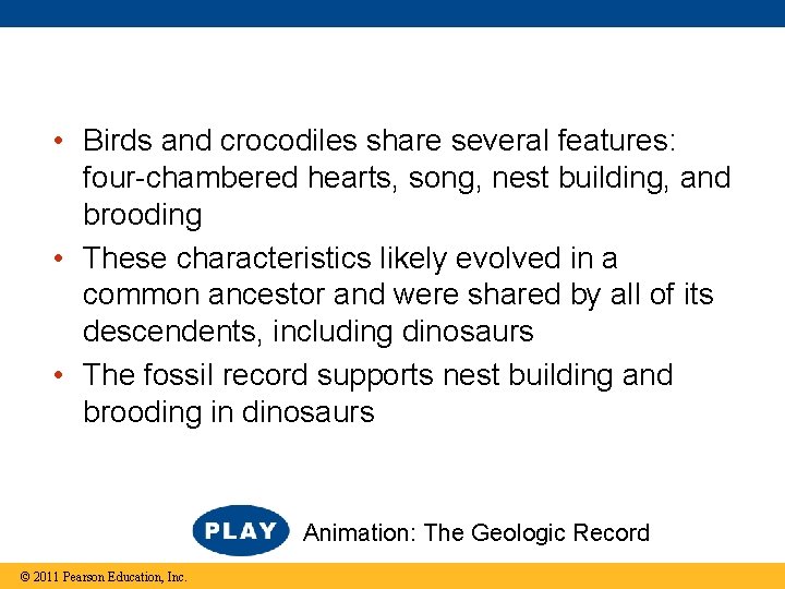  • Birds and crocodiles share several features: four-chambered hearts, song, nest building, and