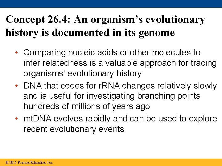 Concept 26. 4: An organism’s evolutionary history is documented in its genome • Comparing