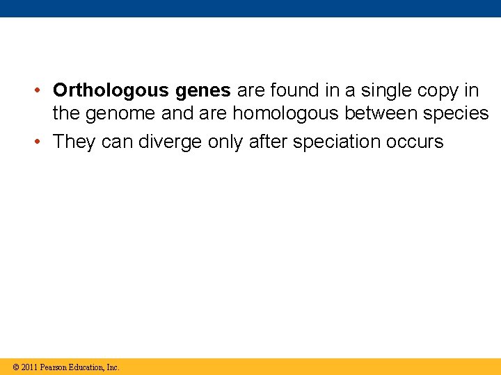  • Orthologous genes are found in a single copy in the genome and