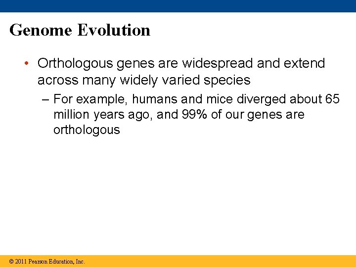 Genome Evolution • Orthologous genes are widespread and extend across many widely varied species