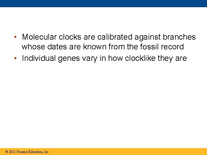  • Molecular clocks are calibrated against branches whose dates are known from the