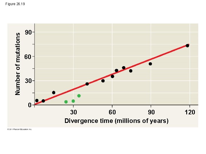 Number of mutations Figure 26. 19 90 60 30 0 60 90 30 Divergence