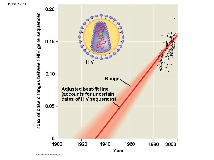 Figure 26. 20 Index of base changes between HIV gene sequences 0. 20 0.