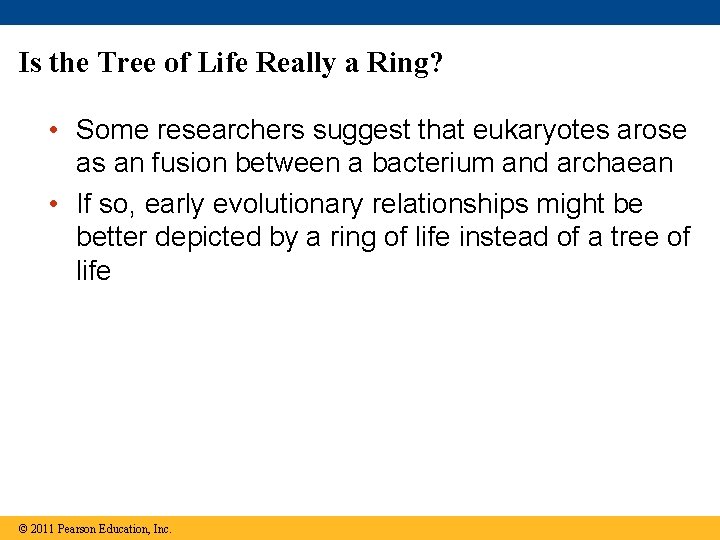 Is the Tree of Life Really a Ring? • Some researchers suggest that eukaryotes