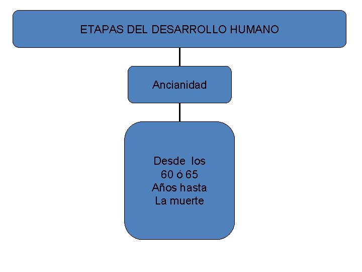 ETAPAS DEL DESARROLLO HUMANO Ancianidad Desde los 60 ó 65 Años hasta La muerte