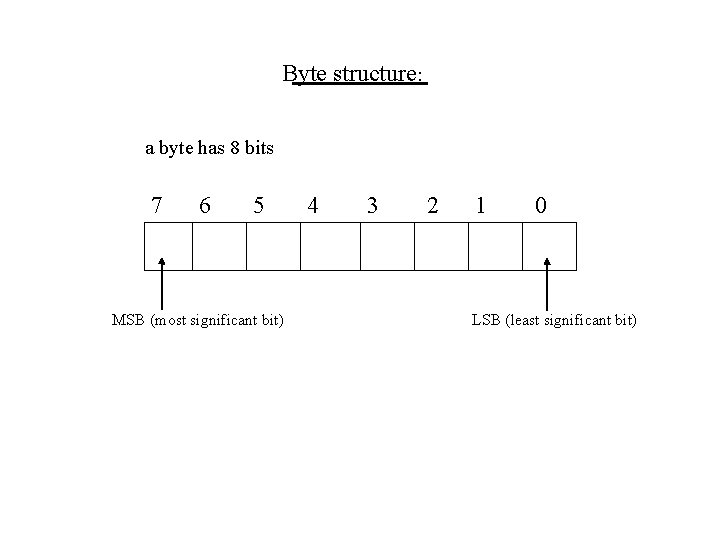 Byte structure: a byte has 8 bits 7 6 5 MSB (most significant bit)