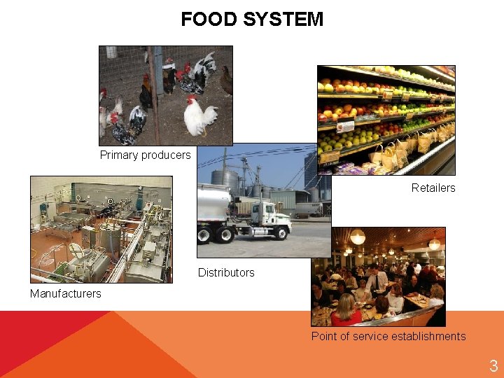 FOOD SYSTEM Primary producers Retailers Distributors Manufacturers Point of service establishments 3 