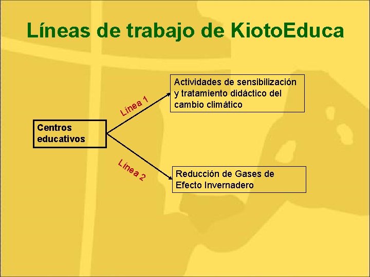 Líneas de trabajo de Kioto. Educa 1 a íne L Actividades de sensibilización y